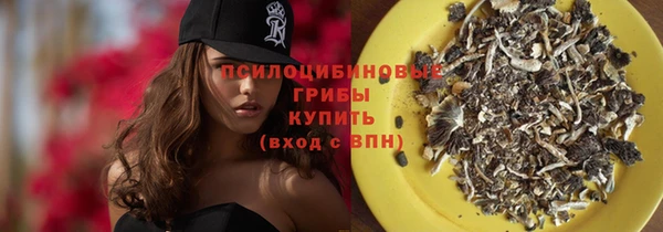 гидра Остров