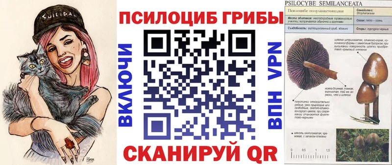 omg как войти Зима Галлюциногенные грибы GOLDEN TEACHER